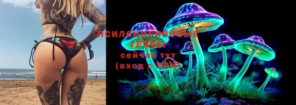 соль курить ск Надым