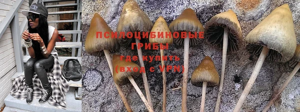 гидропоника Навашино