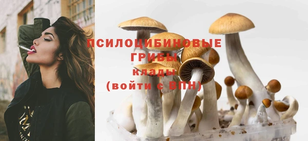 соль курить ск Надым