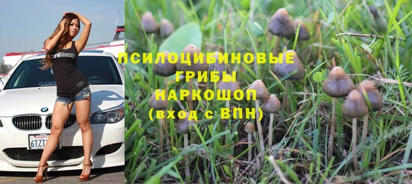 прущая мука Наволоки