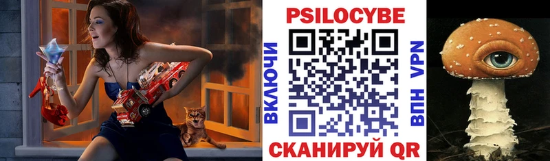 площадка формула  Чердынь  Псилоцибиновые грибы Magic Shrooms  хочу  